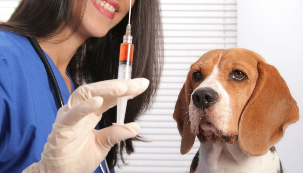 Dog Vaccines